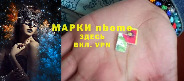 стаф Алзамай