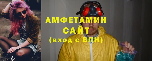 стаф Алзамай