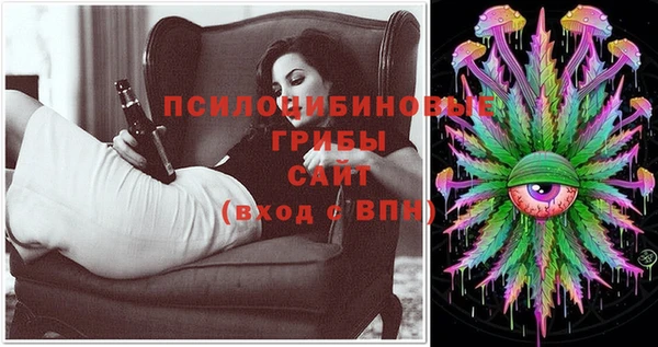 стаф Алзамай