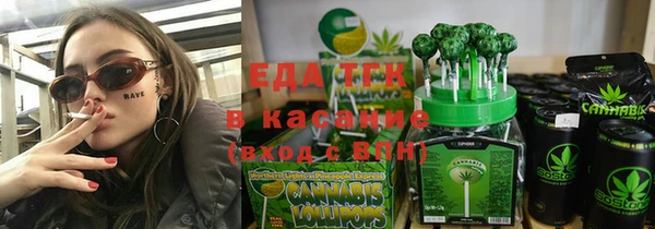 стаф Алзамай