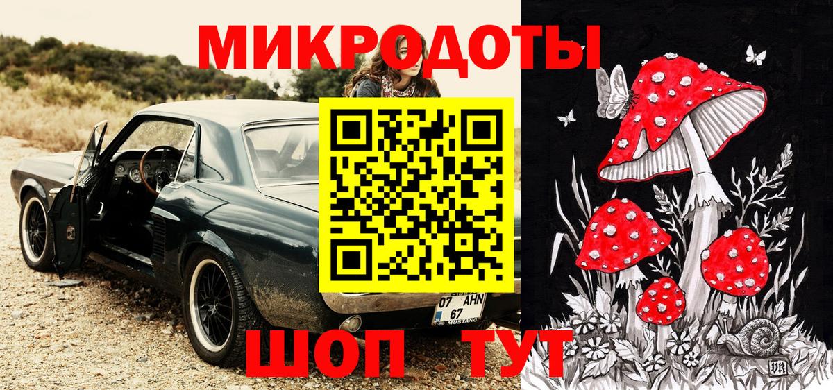 Заволжье  Галлюциногенные грибы прущие грибы  Вход с VPN 
